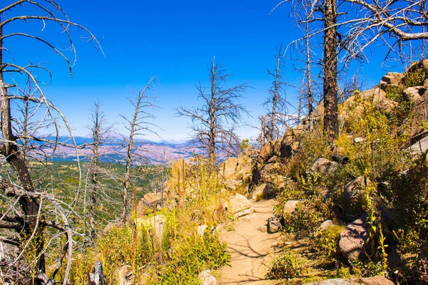 Путь на Chautauqua Park семь — стоковое фото