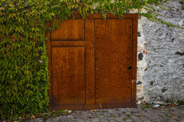 Rusty door with ivy — ストック写真