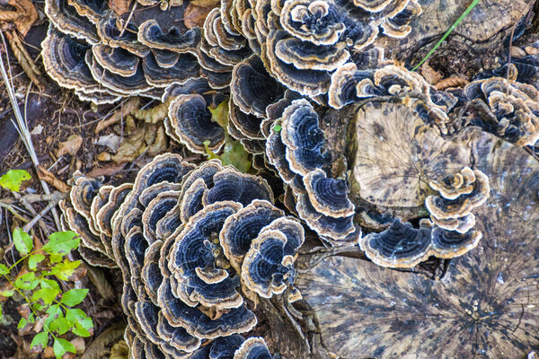 Искусство машинного обучения
