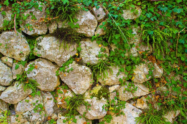 Πέτρινος τοίχος με γρασίδι — Φωτογραφία Αρχείου