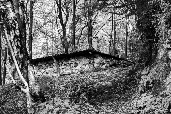 Cobertizo en el bosque —  Fotos de Stock