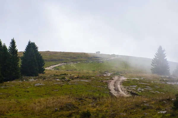 Nebbia suggestiva tre — Foto Stock