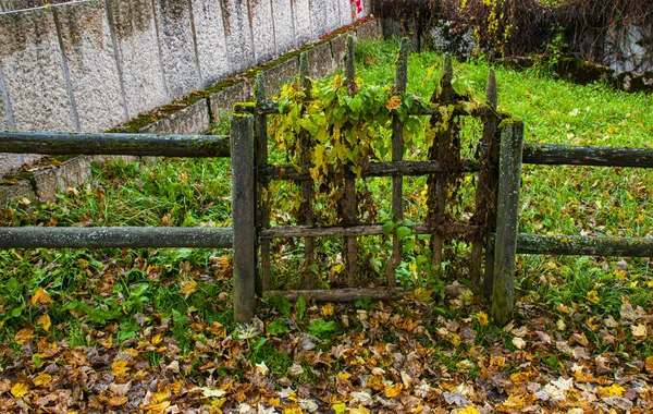 Brama i liście — Zdjęcie stockowe