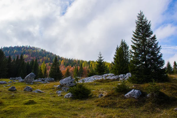 Automne à Asiago 11 — Photo