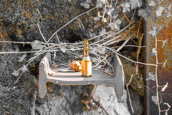Fles op balk in de rots — Stockfoto