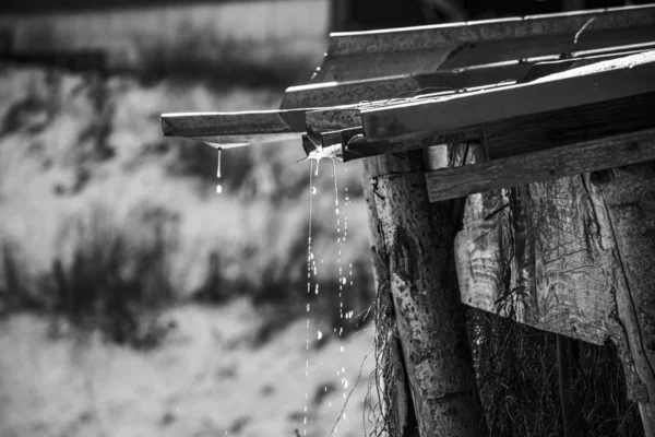 Nieve se derrite en el sol dos — Foto de Stock