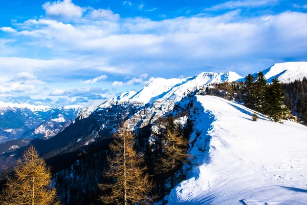 Kiefern und Berge vier — Stockfoto