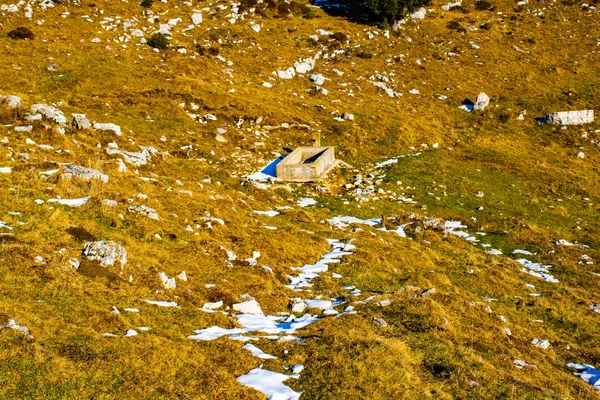 Bebedouro para vacas — Fotografia de Stock