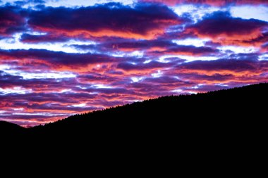 Şafak vakti ormanda