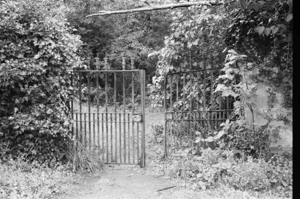 Puerta abandonada en el jardín uno — Foto de Stock