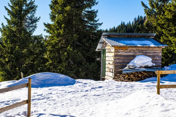 Schnee und Schuppen — Stockfoto