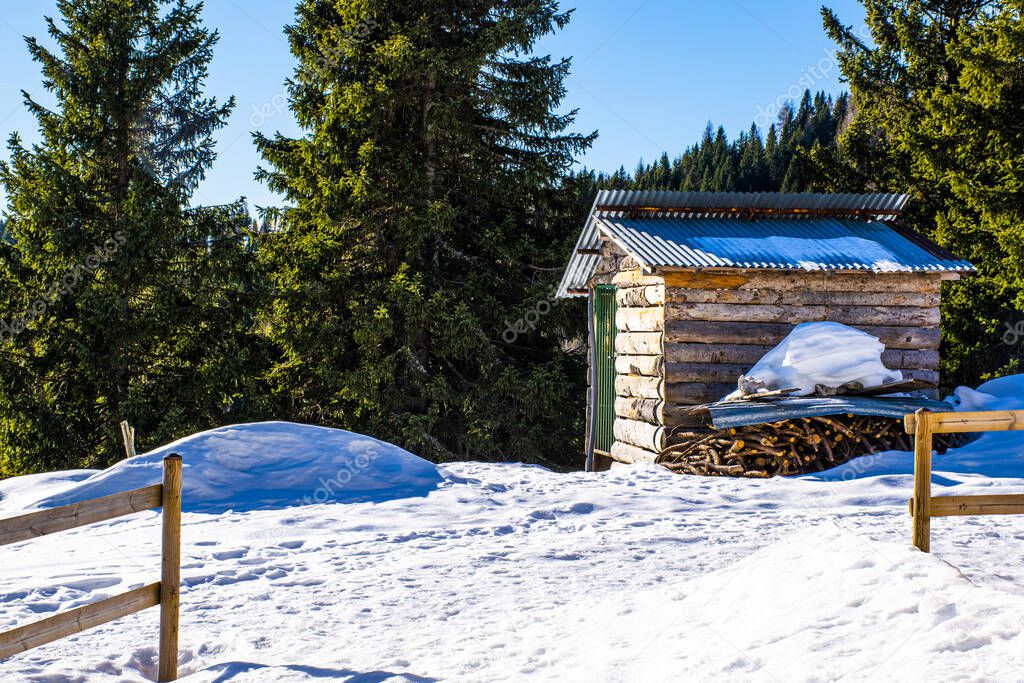 snow and shed