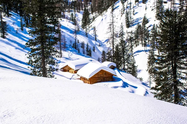 イタリア トレンティーノ アルト アディジェ州のプラート広場のドロマイトの雪に浸かった松の木で作られたアルパイン小屋 — ストック写真