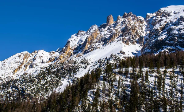Vrcholy Dolomit Pokryté Sněhem Osvětlené Nádhernou Modrou Oblohou Zelenými Borovicemi — Stock fotografie