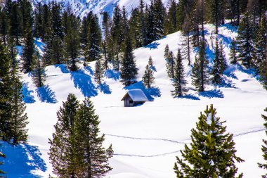 İtalya 'nın Trentino Alto Adige kentindeki Prato Piazza' daki Dolomitler 'de kara batırılmış çam ağacından yapılmış dağ kulübesi.