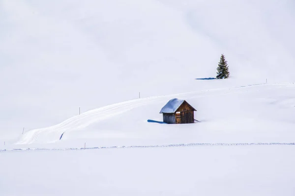 İtalya 'nın Trentino Alto Adige kentindeki Prato Piazza' daki Dolomitler 'de kara batırılmış çam ağacından yapılmış dağ kulübesi.