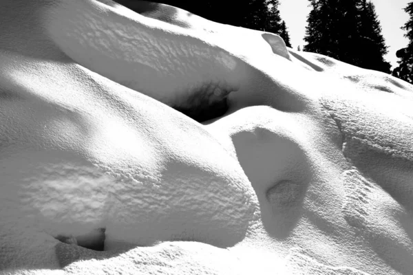 Nieve Cubre Las Rocas Sotobosque Los Dolomitas Trentino Alto Adigio — Foto de Stock