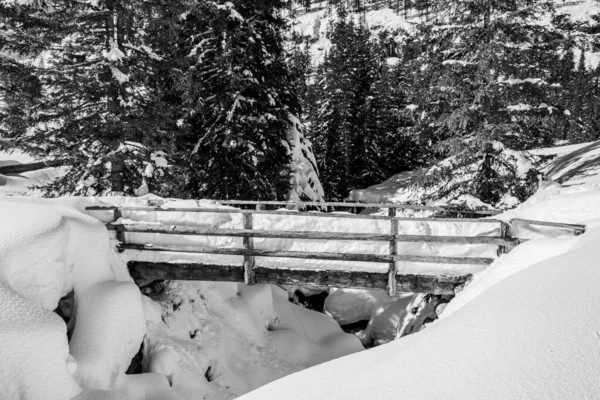 Ponte Madeira Coberta Neve Nas Trilhas Das Dolomitas Trentino Alto — Fotografia de Stock