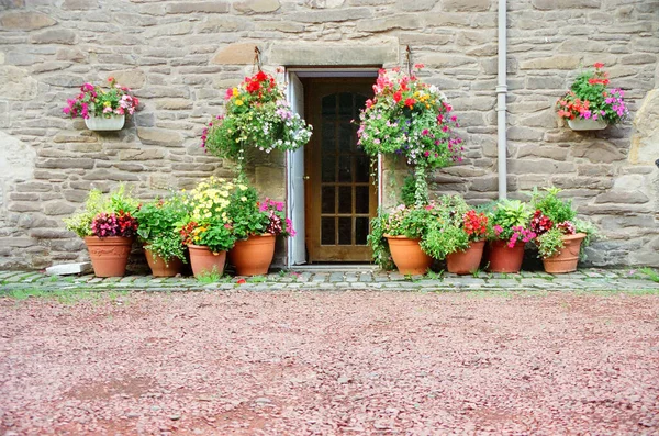 Деревянная Дверь Старом Каменном Коттедже Разноцветными Цветочными Горшками Красным Садом — стоковое фото