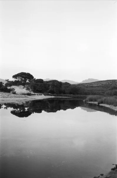 Reflet Lac Entouré Bois Noir Blanc — Photo