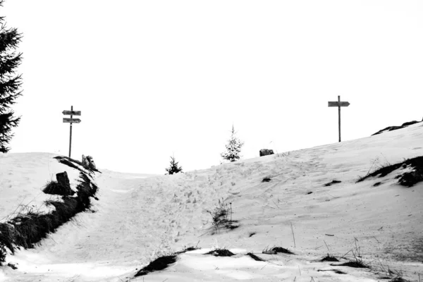 Sinais Trilha Madeira Caminho Nevado Indicam Direções Opostas Para Malga — Fotografia de Stock