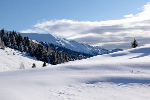 Asiago 'daki Cima Larici yakınlarında bulutlar ve ormanlarla kaplı Portekiz dağının güzel bir görüntüsü.