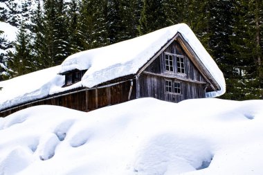 İtalya 'nın Dobbiaco kenti yakınlarında güneşli bir kış gününde dolomitlerin çam ormanlarında karla kaplı ahşap bir kulübe.