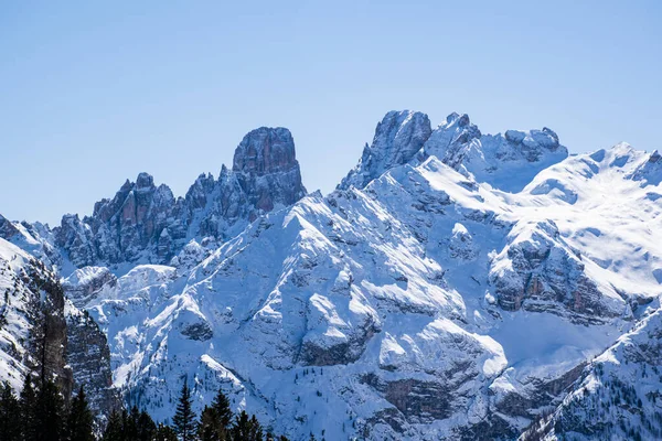Snow Peaks Dolomites Blue Sky Green Pine Woods Dobbiaco Italy — Stock Photo, Image