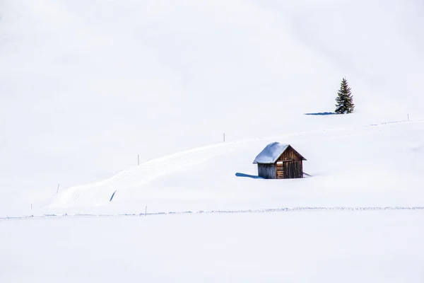 白雪の広がりの中放棄された古い木造小屋 — ストック写真