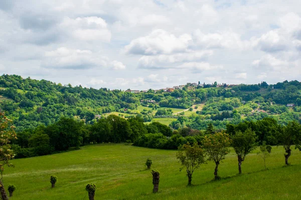 Panorama Der Grünen Hügel Mit Weiden Und Frühlingsbäumen Monteviale Vicenza — Stockfoto