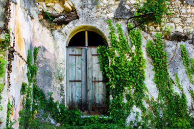 Taş duvarda paslı demirle eski ahşap kapı ve tırmanma sarmaşığı.