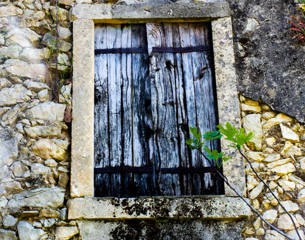 Vecchia Finestra Legno Con Ferro Arrugginito Muro Pietra Foglie Fico — Foto Stock