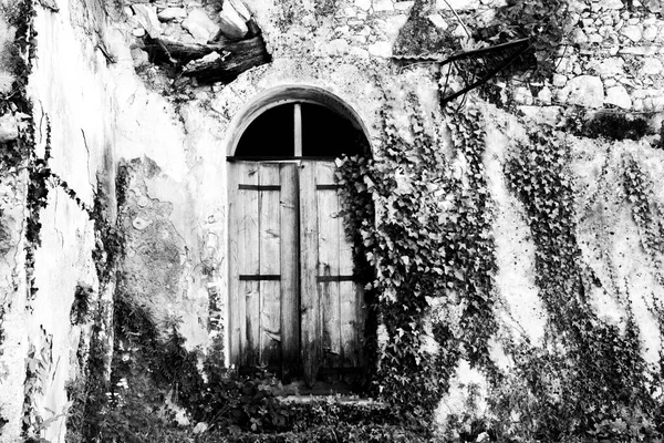 Alte Holztür Mit Rostigem Eisen Auf Steinmauer Und Kletterndem Efeu — Stockfoto