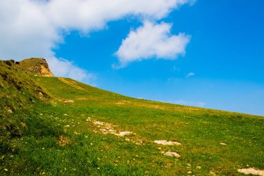 Recoaro Mille 'deki Alpler arasında yeşil çayırlar ve sarı karahindiba çiçekleri, mavi gökyüzü ve beyaz bulutlar, Vicenza, Veneto, İtalya