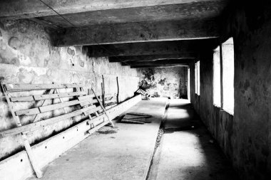 Recoaro Mille, Vicenza, İtalya 'da yaz otlaklarını bekleyen terk edilmiş bir dağ başında.