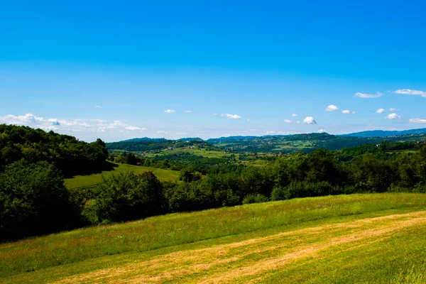 Grüne Landwirtschaftliche Felder Auf Den Hügeln Vordergrund Mit Himmel Und — Stockfoto
