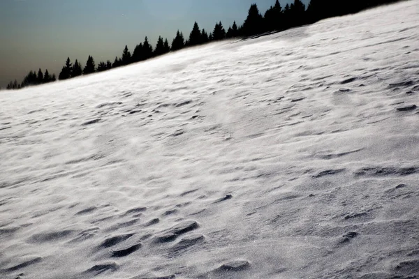 Vento Varre Neve Com Pinheiros Fundo Sobre Picos Torno Planície — Fotografia de Stock