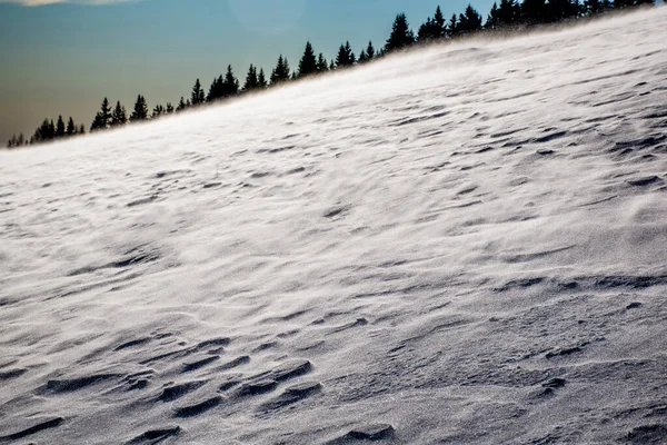 Wind Fegt Den Schnee Mit Kiefern Hintergrund Auf Den Gipfeln — Stockfoto