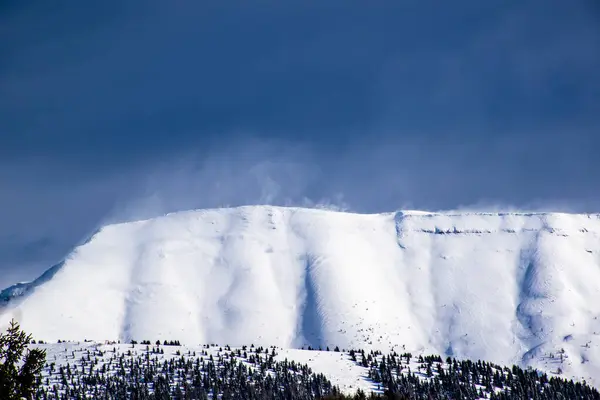 Top Van Berg Portule Larici Bedekt Met Sneeuw Met Wind — Stockfoto