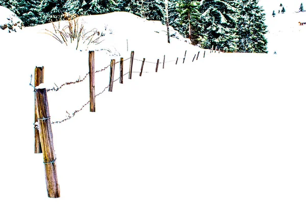 Yakın plan dikenli teller, İtalya 'nın Vicenza ilindeki Asiago platosunda taze kar üzerindeki tarlaları bölüyor.