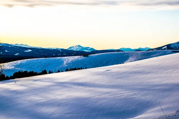Alpine Schneelandschaft Bei Sonnenuntergang Pinien Wolken Und Berggipfel Auf Der — Stockfoto