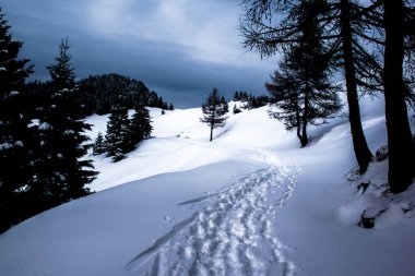 İtalya 'nın Vicenza eyaletindeki Asiago platosunda kayak izleri ile Manderiolo' nun tepesine çıkan gökyüzünü tehdit ediyor.