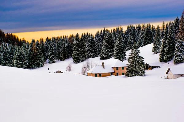 イタリアのヴィチェンツァ州のアジアゴ高原にある小屋 松の木 雲と山の峰と日没のアルパイン雪の風景 — ストック写真