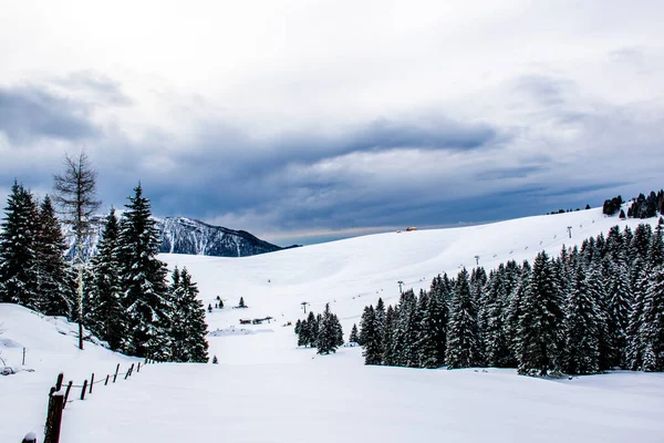 Paisaje Nevado Alpino Con Pinos Nubes Picos Montaña Meseta Asiago — Foto de Stock