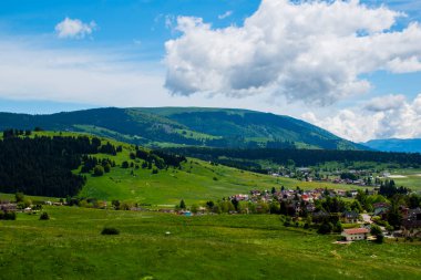 wonderful view of the mountains around the Asiago plateau with green pastures with yellow and white flowers, the pine forests the blue sky with white clouds, Vicenza, Veneto, Italy clipart