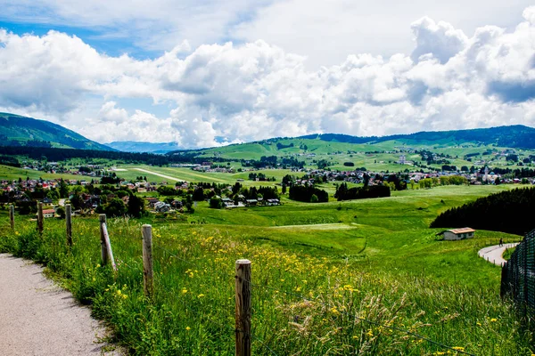 Asya platosunun etrafındaki dağların harika manzarası yeşil otlaklar, sarı ve beyaz çiçekler, çam ağaçları mavi gökyüzü beyaz bulutlar, Vicenza, Veneto, İtalya
