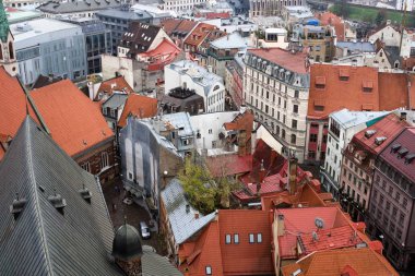 Riga, Letonya, Kasım 2019. Aziz Peter Katedrali 'nin tepesinden eski şehrin çatıları..