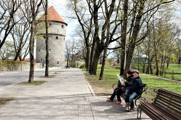 Tallin Estonia Mayo 2014 Numerosas Señales Tráfico Ciudad Vieja — Foto de Stock