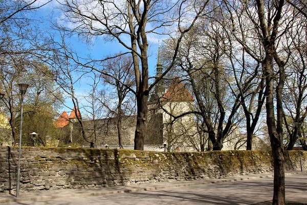 Tallinn Estonia May 2014 Numerous Road Signs Old City — 스톡 사진
