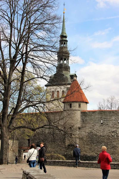 Tallin Estonia Mayo 2014 Caminando Personas Antigua Muralla Fortaleza Principios —  Fotos de Stock